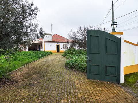 Quinta em avis