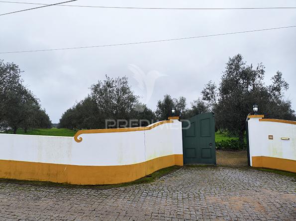 Quinta em avis