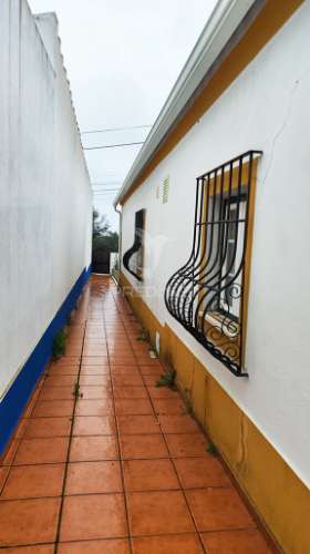 Quinta em avis