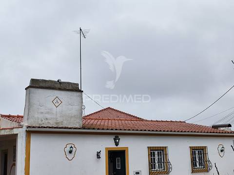Quinta em avis