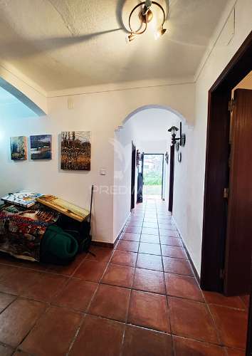 Quinta em avis