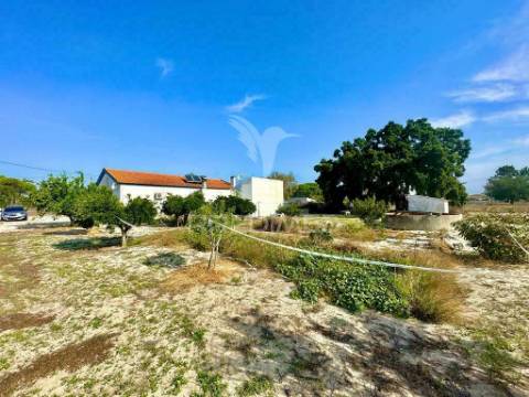 Moradia t5 com terreno perto de torrão