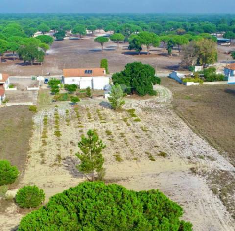 Moradia t5 com terreno perto de torrão