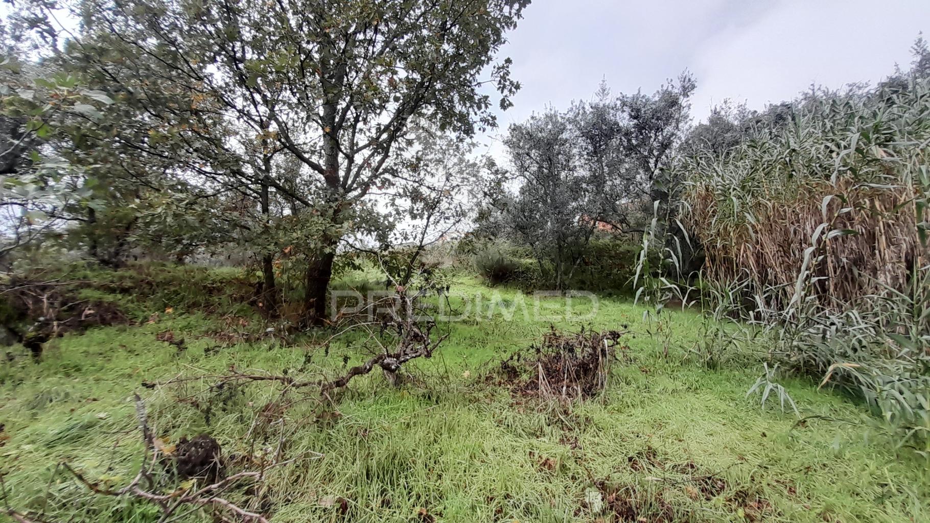 Terreno urbano em tortosendo