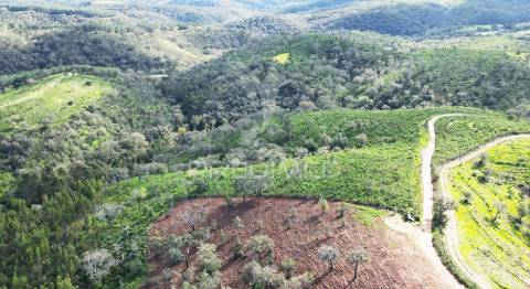 Herdade com 26 ha em taliscas odemira