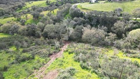 Herdade com 26 ha em taliscas odemira