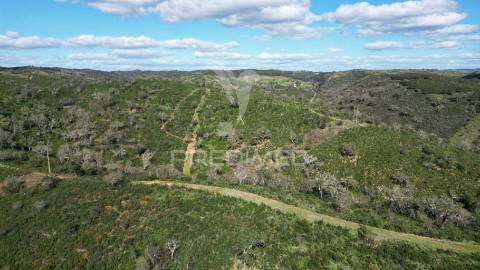Herdade com 26 ha em taliscas odemira