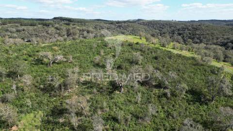 Herdade com 26 ha em taliscas odemira