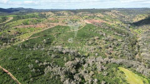 Herdade com 26 ha em taliscas odemira