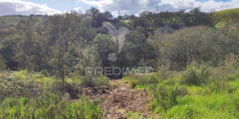 Herdade com 26 ha em taliscas odemira