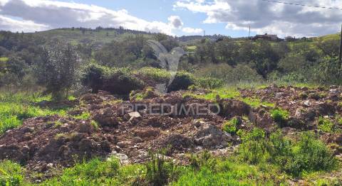 Herdade com 26 ha em taliscas odemira
