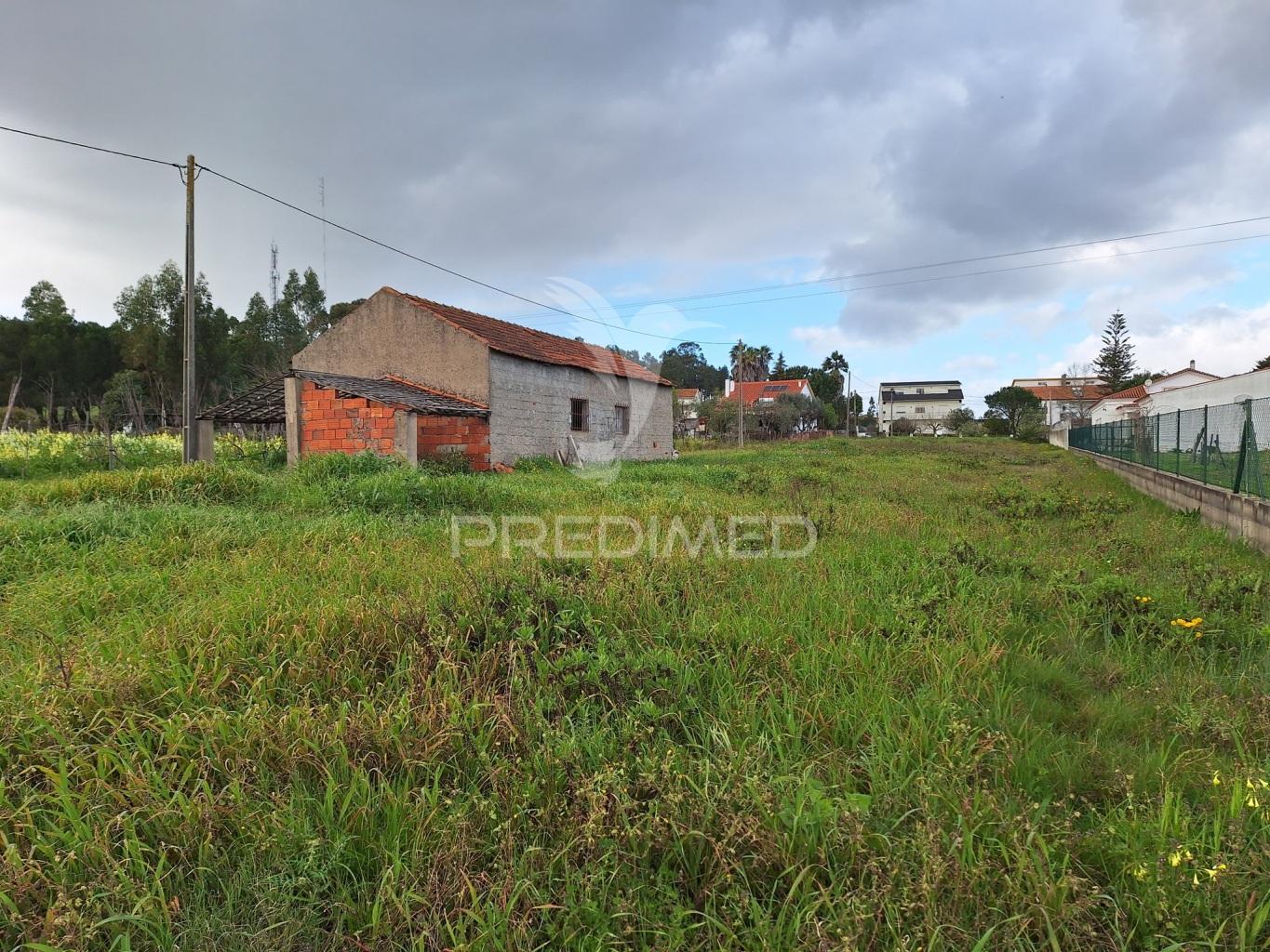 Terreno, nossa senhora de fátima, entroncamento