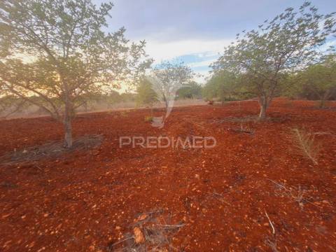 Terreno na zona de vale judeu, loulé