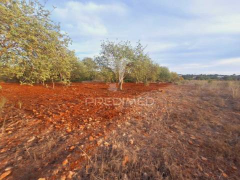 Terreno na zona de vale judeu, loulé