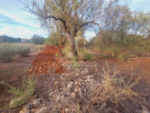 Terreno na zona de vale judeu, loulé