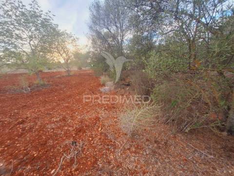 Terreno na zona de vale judeu, loulé