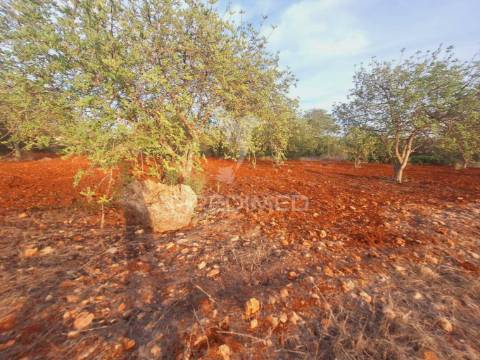 Terreno na zona de vale judeu, loulé