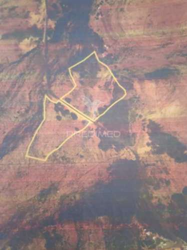 Terreno com área 20.800 m2 para investimento em machico