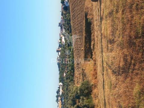 Terreno misto