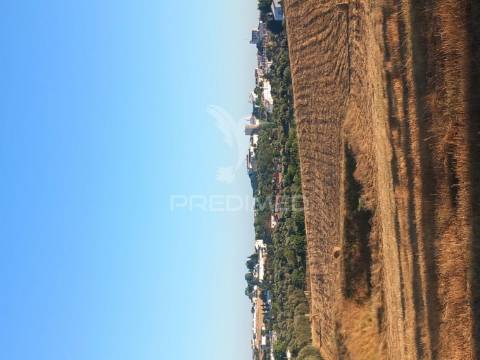 Terreno misto