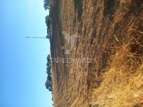 Terreno misto