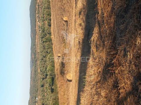Terreno misto