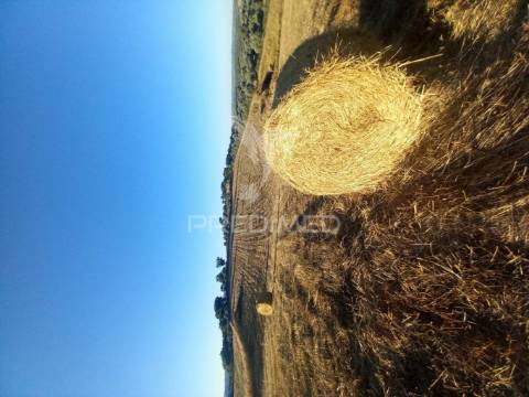 Terreno misto