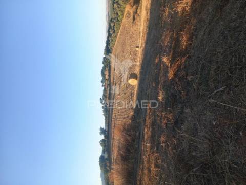 Terreno misto