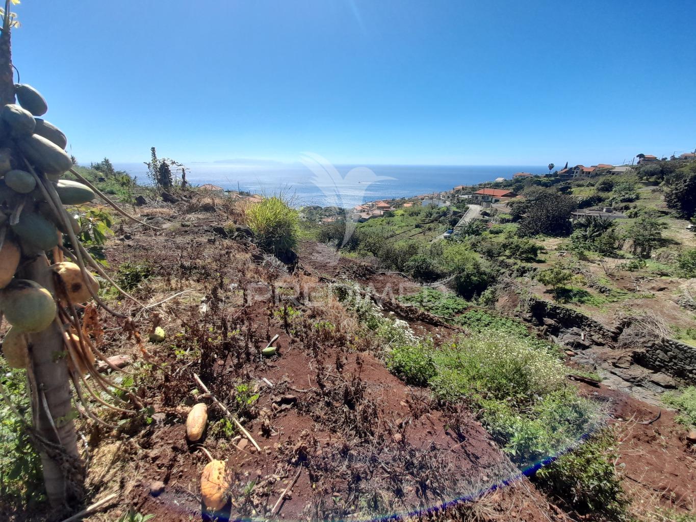 Terreno rustico gaula 1800 m2