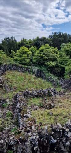 Terreno porto martins - ilha terceira