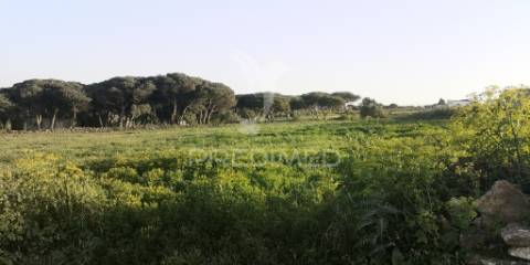 Terreno urbano para loteamento, perto das praias de sintra