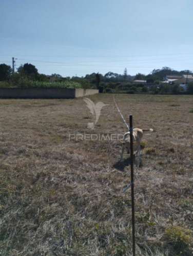 Terreno urbano no campo mas a um pequeno passo da cidade
