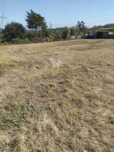 Terreno urbano no campo mas a um pequeno passo da cidade