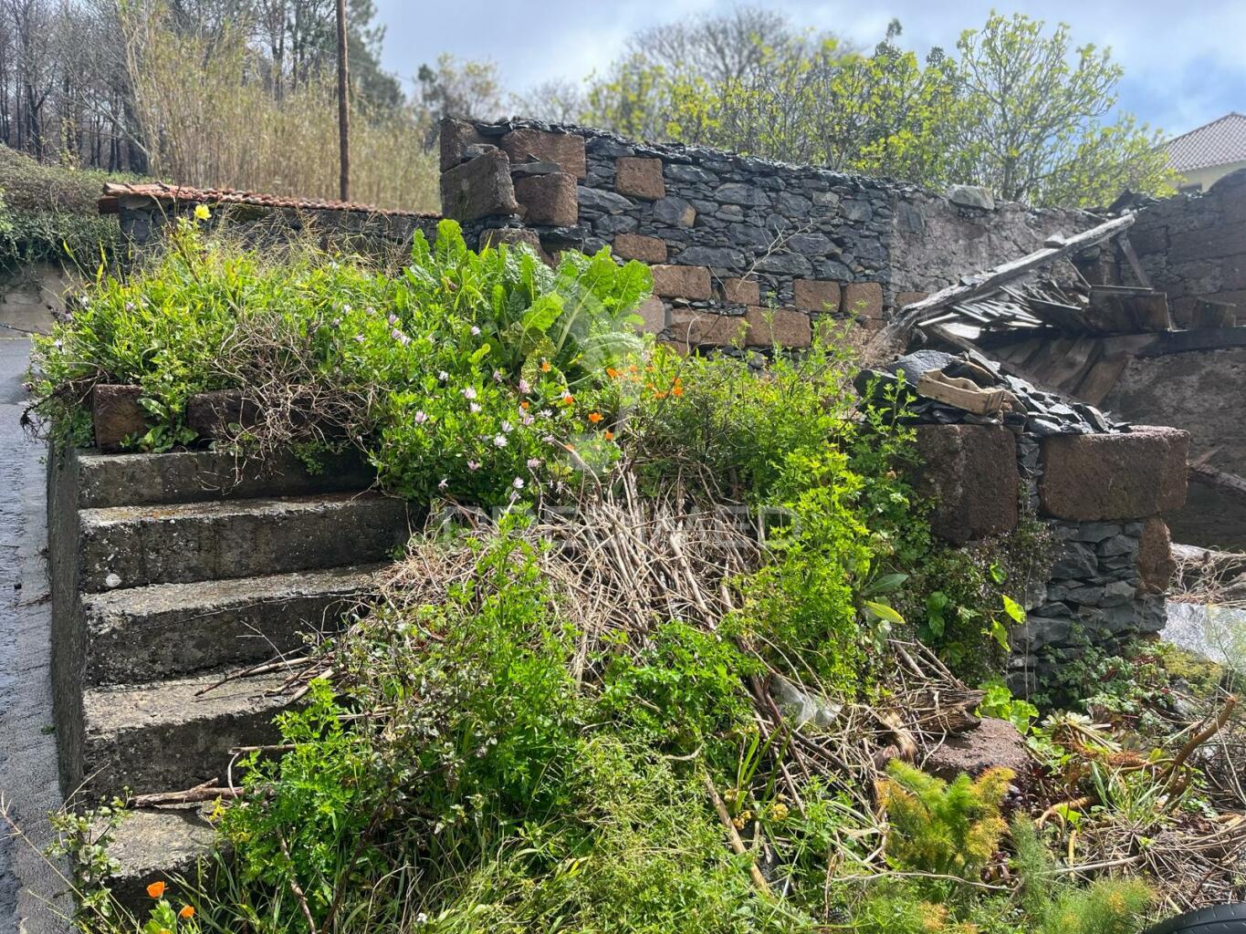 Moradia para recuperar t3 e palheiro com 330m2 de terreno na calheta.