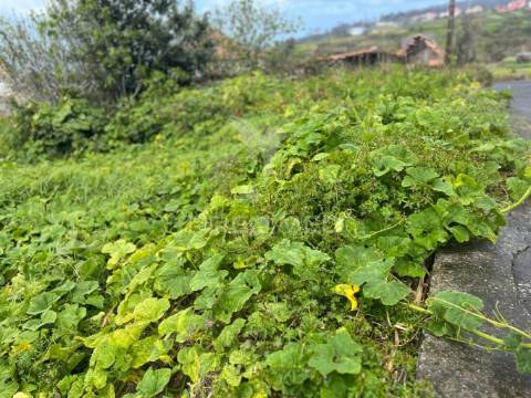 Moradia para recuperar t3 e palheiro com 330m2 de terreno na calheta.