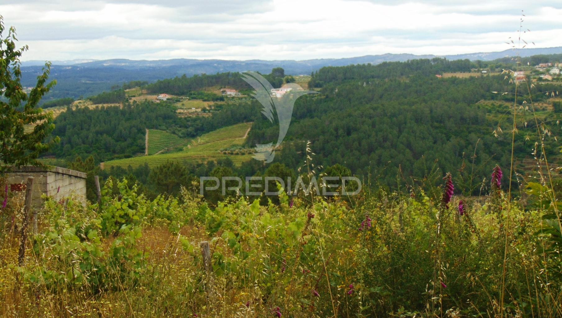 Terreno para construção em abaças - vila real
