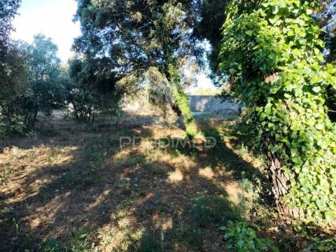 Terreno urbano localizado boleiros / fátima