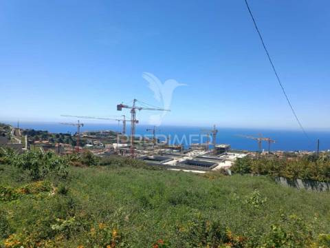 Terreno no pico do funcho, são martinho funchal