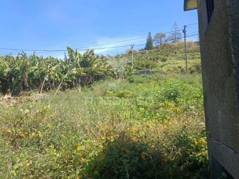 Terreno no pico do funcho, são martinho funchal