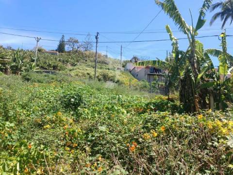 Terreno no pico do funcho, são martinho funchal