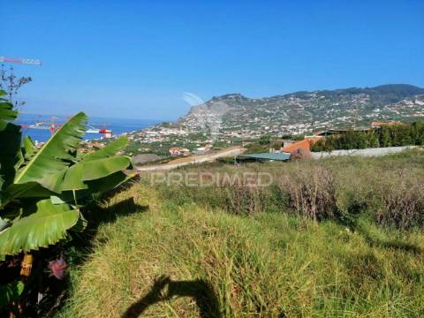 Terreno no pico do funcho, são martinho funchal