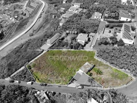 Terreno no pico do funcho, são martinho funchal