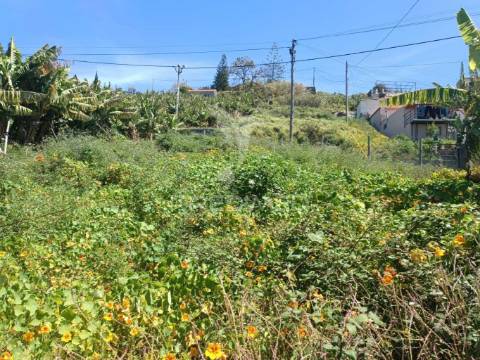Terreno no pico do funcho, são martinho funchal