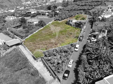 Terreno no pico do funcho, são martinho funchal