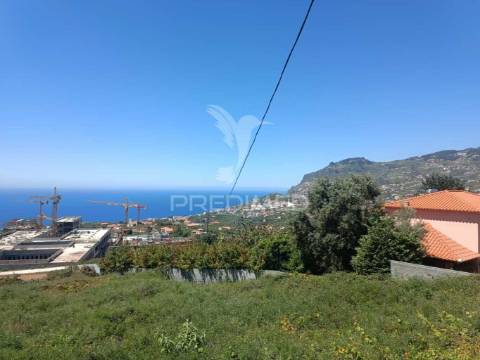 Terreno no pico do funcho, são martinho funchal