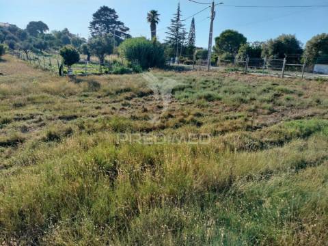 Terreno urbano na entrada principal de torres novas