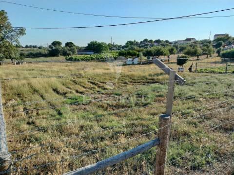 Terreno urbano na entrada principal de torres novas