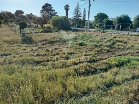 Terreno urbano na entrada principal de torres novas