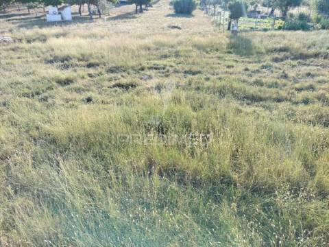 Terreno urbano na entrada principal de torres novas
