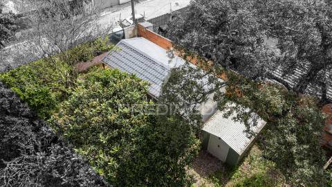 Terreno urbano || cabeço verde